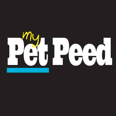 My Pet Peed