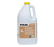 3 in 1 Carpet Cleaner and Spot Remover (Concentrate)